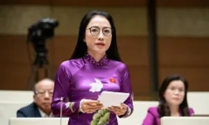 Đại biểu Quốc hội: 'Đừng để bác sĩ vừa cứu người vừa sợ bị tấn công'